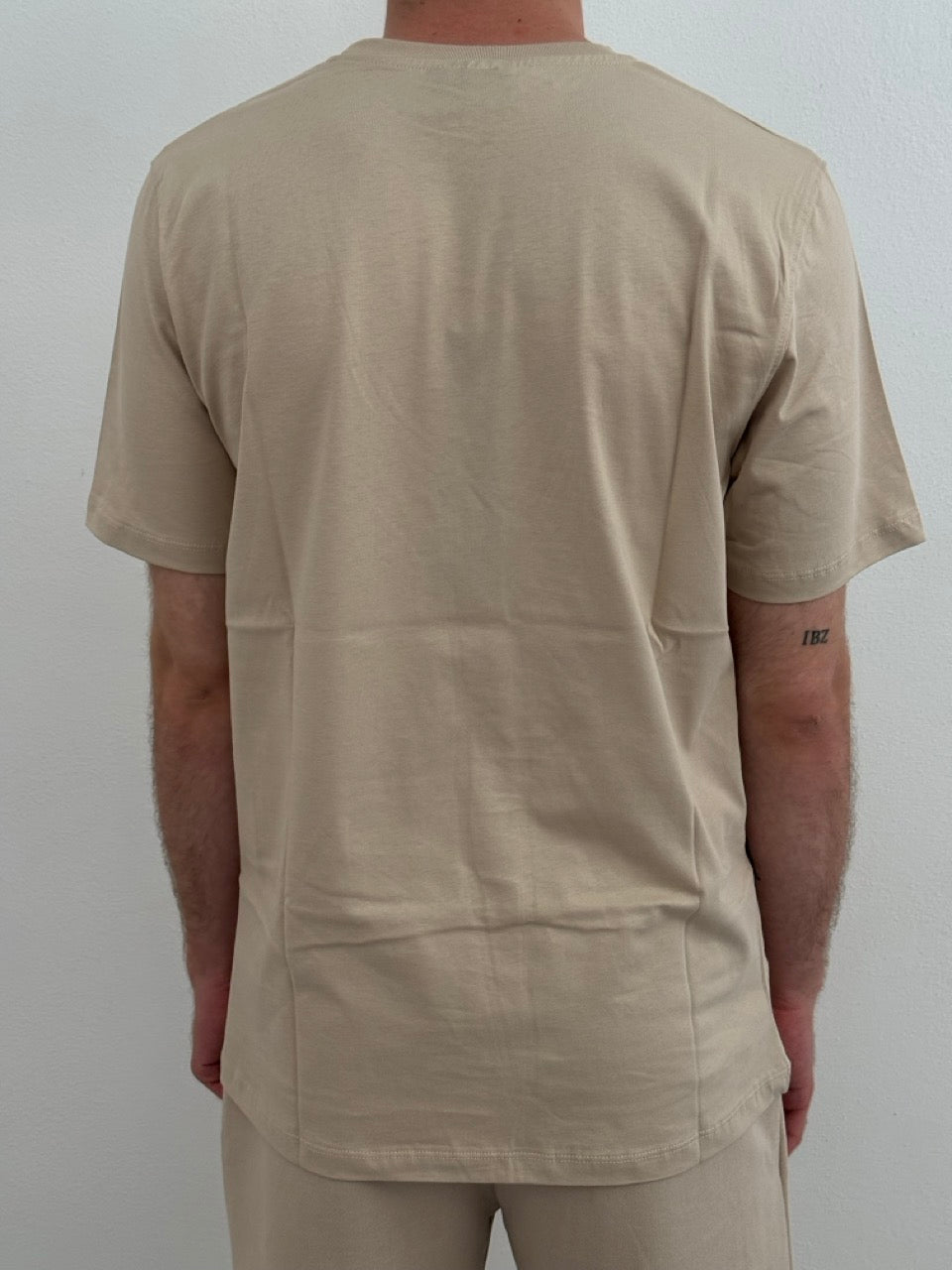 T-shirt teddy bear